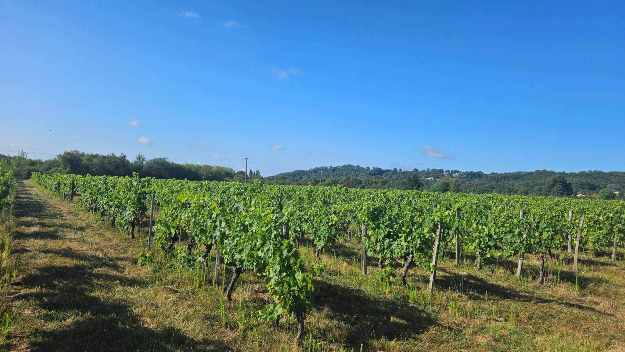 Chambres Et Gites Les Deux Chenes Pres De Bergerac Le Fleix Exterior photo